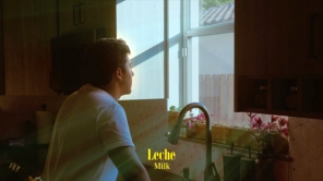 Como una Mosca en Leche (Like a Fly in MIlk)