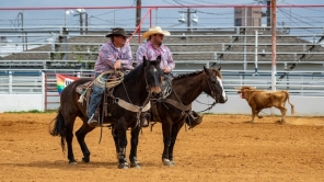 Pride of Texas
