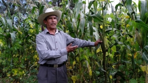 Seeds of Sovereignty