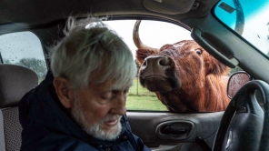 A Promise of Paradise