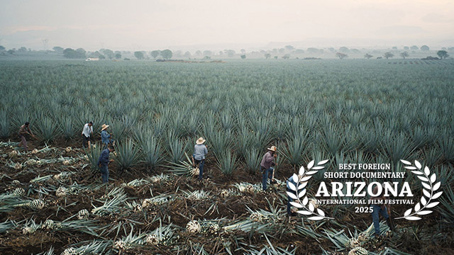 Best Foreign Short Documentary: <strong>Children of Agave</strong>