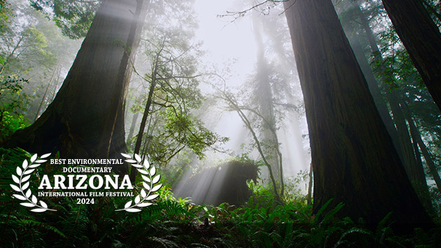 <i>Best Environmental Documentary - </i>Giants Rising