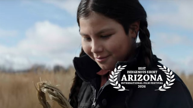Best Indigenous Short: BRAIDS