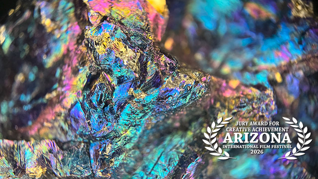 Jury Award for Creative Achievement: MATERIA