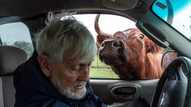 A Promise of Paradise